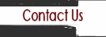 Contact Information